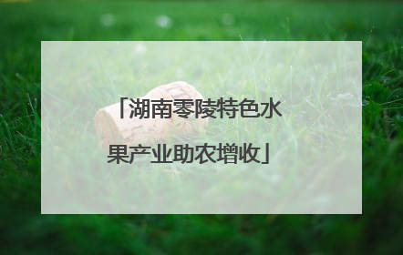 湖南零陵特色水果产业助农增收