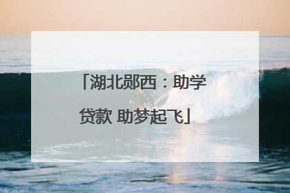 湖北郧西：助学贷款 助梦起飞