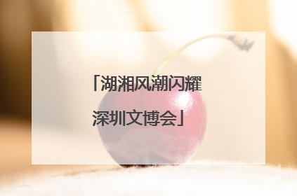 湖湘风潮闪耀深圳文博会