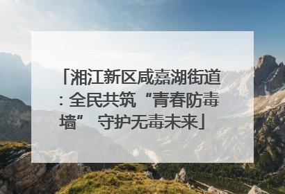 湘江新区咸嘉湖街道：全民共筑“青春防毒墙” 守护无毒未来