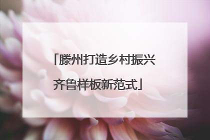 滕州打造乡村振兴齐鲁样板新范式