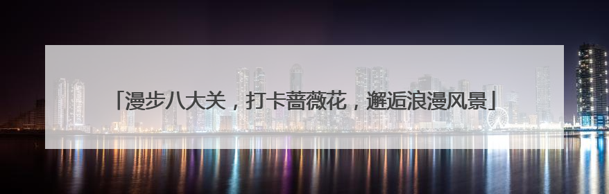 漫步八大关，打卡蔷薇花，邂逅浪漫风景