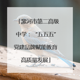 漯河市第二高级中学：“五五五”党建品牌赋能教育高质量发展