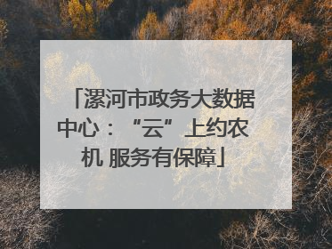 漯河市政务大数据中心：“云”上约农机 服务有保障