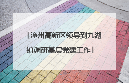 漳州高新区领导到九湖镇调研基层党建工作