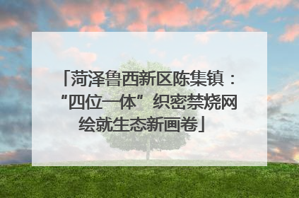 菏泽鲁西新区陈集镇：“四位一体”织密禁烧网 绘就生态新画卷
