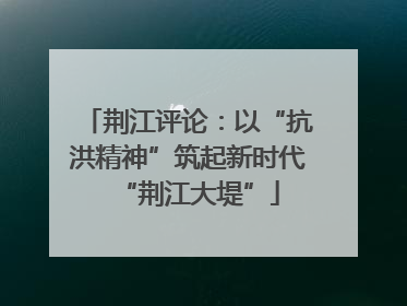 荆江评论：以“抗洪精神”筑起新时代“荆江大堤”