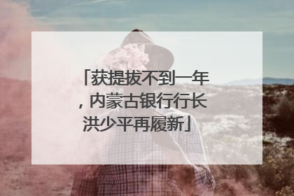 获提拔不到一年，内蒙古银行行长洪少平再履新