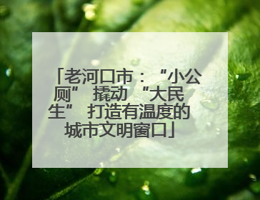 老河口市：“小公厕” 撬动 “大民生” 打造有温度的城市文明窗口