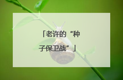 老许的“种子保卫战”