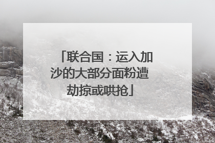 联合国：运入加沙的大部分面粉遭劫掠或哄抢