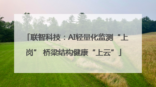 联智科技：AI轻量化监测“上岗” 桥梁结构健康“上云”