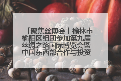 聚焦丝博会丨榆林市榆阳区组团参加第九届丝绸之路国际博览会暨中国东西部合作与投资贸易洽谈会