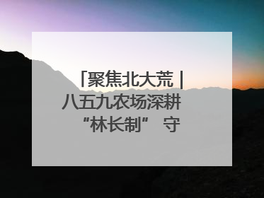 聚焦北大荒｜八五九农场深耕“林长制” 守护“生态绿”
