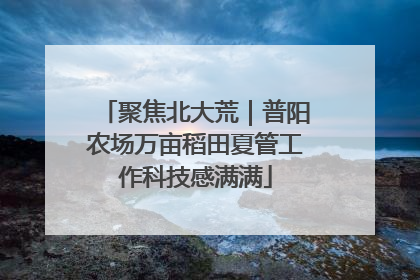 聚焦北大荒｜普阳农场万亩稻田夏管工作科技感满满