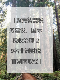 聚焦智慧税务建设、国际税收治理 29名非洲财税官湖南取经
