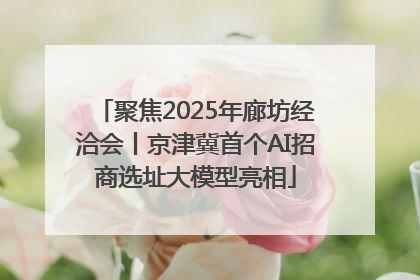 聚焦2025年廊坊经洽会丨京津冀首个AI招商选址大模型亮相