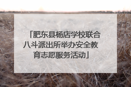 肥东县杨店学校联合八斗派出所举办安全教育志愿服务活动