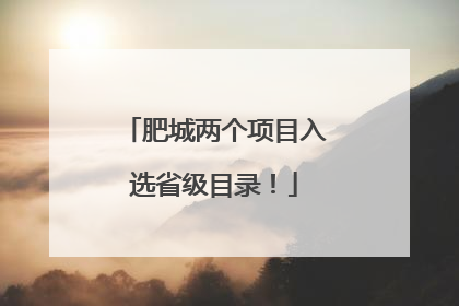 肥城两个项目入选省级目录！