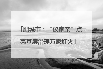 肥城市：“仪家亲”点亮基层治理万家灯火