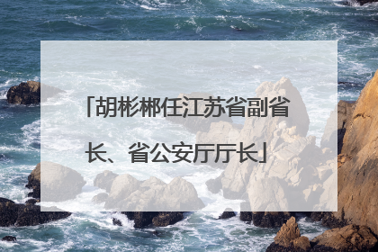 胡彬郴任江苏省副省长、省公安厅厅长