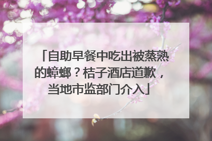自助早餐中吃出被蒸熟的蟑螂？桔子酒店道歉，当地市监部门介入