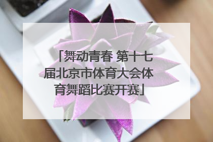 舞动青春 第十七届北京市体育大会体育舞蹈比赛开赛