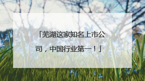 芜湖这家知名上市公司，中国行业第一！
