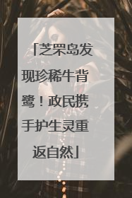 芝罘岛发现珍稀牛背鹭！政民携手护生灵重返自然