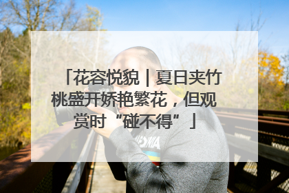 花容悦貌｜夏日夹竹桃盛开娇艳繁花，但观赏时“碰不得”