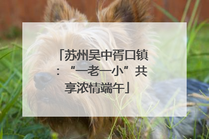 苏州吴中胥口镇：“一老一小”共享浓情端午
