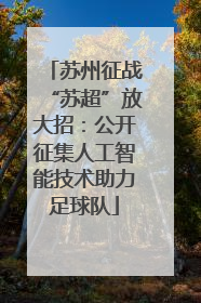 苏州征战“苏超”放大招：公开征集人工智能技术助力足球队
