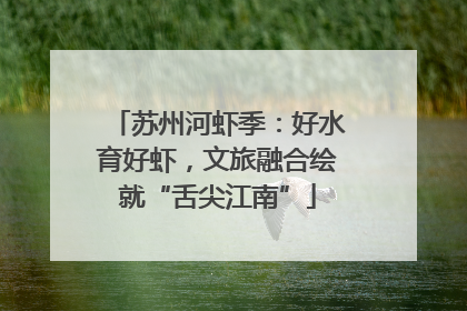 苏州河虾季：好水育好虾，文旅融合绘就“舌尖江南”