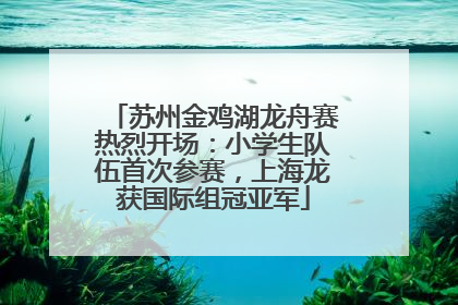 苏州金鸡湖龙舟赛热烈开场：小学生队伍首次参赛，上海龙获国际组冠亚军