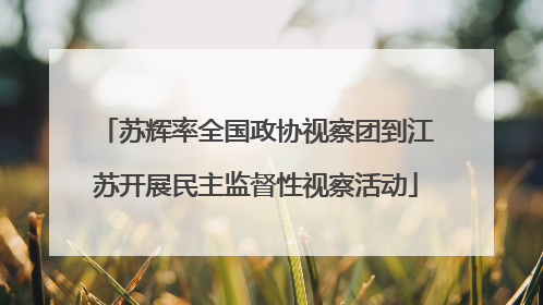苏辉率全国政协视察团到江苏开展民主监督性视察活动