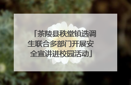 茶陵县秩堂镇选调生联合多部门开展安全宣讲进校园活动