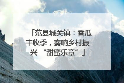 范县城关镇：香瓜丰收季，奏响乡村振兴 “甜蜜乐章”
