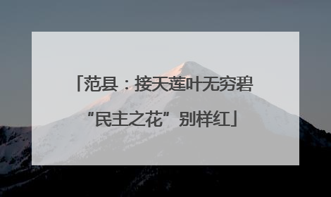 范县：接天莲叶无穷碧 “民主之花”别样红