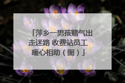 萍乡一男孩赌气出走迷路 收费站员工暖心相助（图）