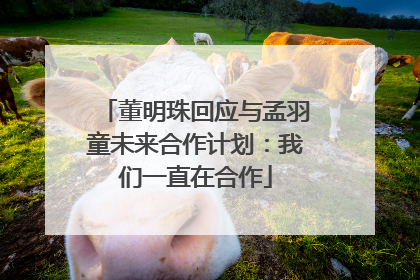 董明珠回应与孟羽童未来合作计划：我们一直在合作