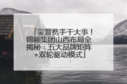 蒙晋携手干大事！锦颐集团山西布局全揭秘：五大品牌矩阵+双轮驱动模式
