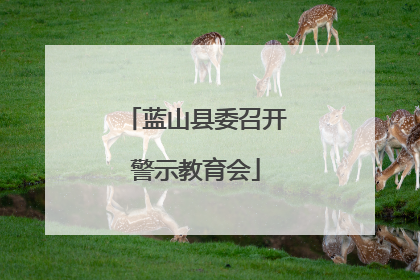 蓝山县委召开警示教育会