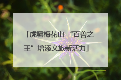 虎啸梅花山 “百兽之王”增添文旅新活力