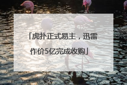 虎扑正式易主，迅雷作价5亿完成收购
