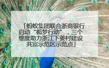 蚂蚁集团联合浙商银行启动“栀梦行动”，三个维度助力浙江下姜村建设共富示范区示范点