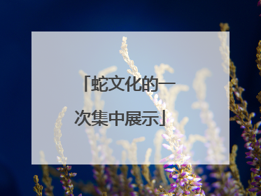 蛇文化的一次集中展示