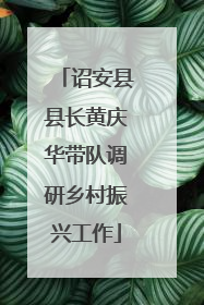诏安县县长黄庆华带队调研乡村振兴工作