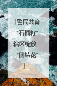 警民共育“石榴籽” 辖区绽放“团结花”