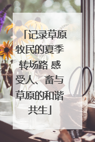 记录草原牧民的夏季转场路 感受人、畜与草原的和谐共生
