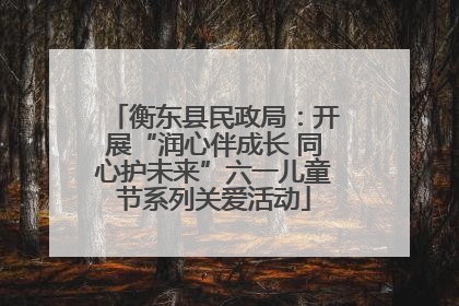 衡东县民政局：开展“润心伴成长 同心护未来”六一儿童节系列关爱活动
